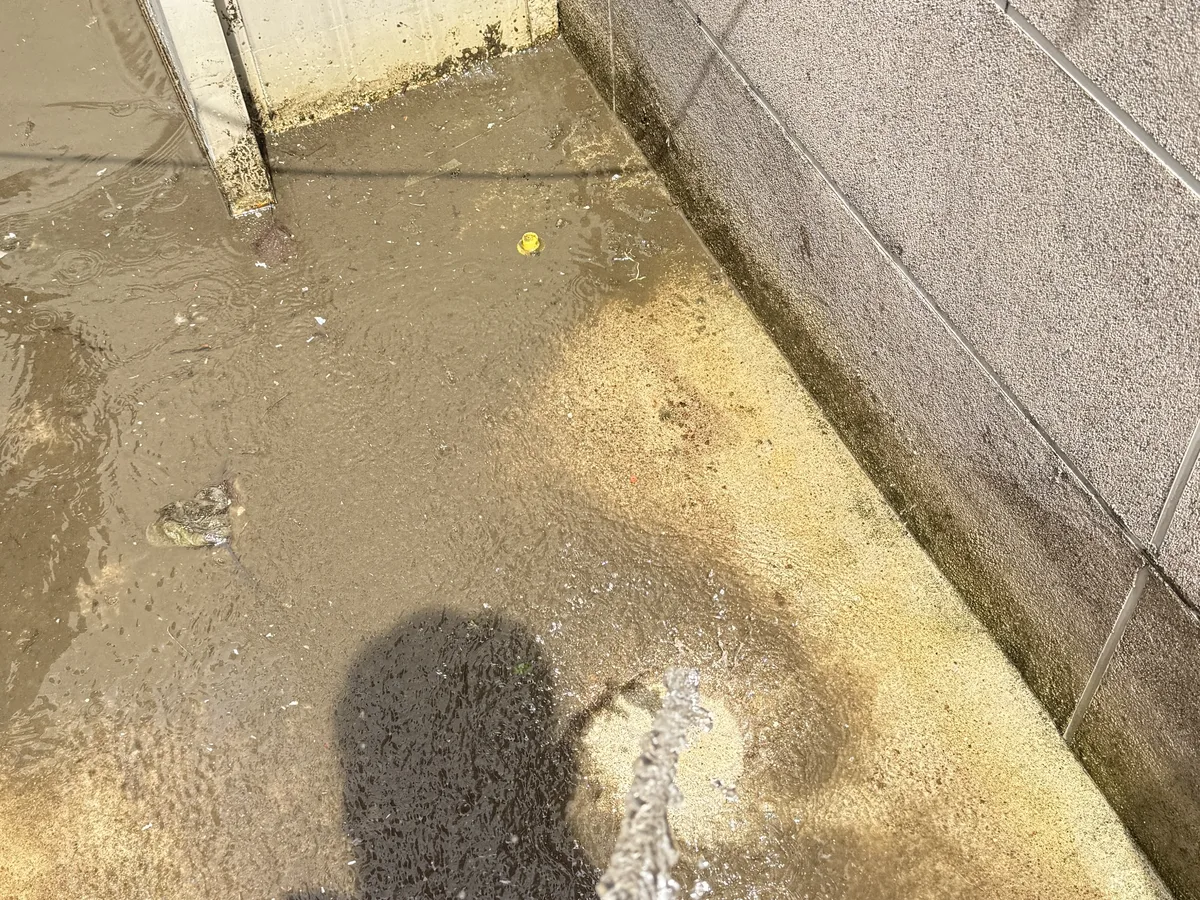 안동시 광석동 침수 현장 복도·대기 동선 야간 위생청소 사례 - 행진크린